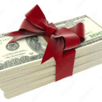 エリザベス カラー 病院 値段