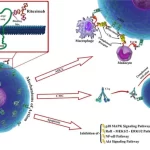 リグロス 治療 できる 病院
